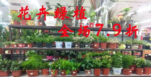 年卉盛宴 花卉賀新年，全場(chǎng)7.9折送好禮